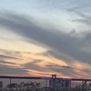 Fiの画像