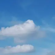 はぴまめの画像