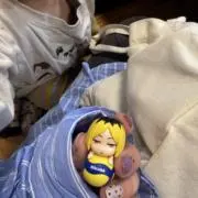 ちゃんの画像
