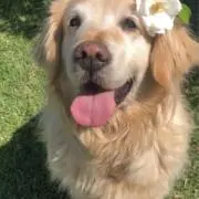 みーたんの画像