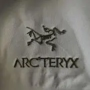 ARCの画像