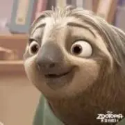 フラッシュの画像