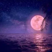 梅子☆プロフ必読
