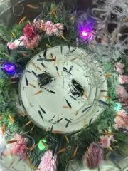 なお　土日祝発送❌の画像