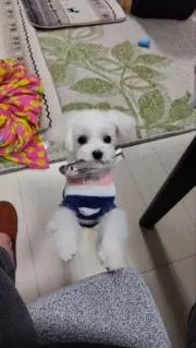 まや＊プロフ確認お願いしますの画像