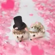 ☆じゃみ☆