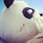 たあ