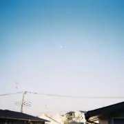 ごん