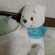 葵　自己紹介読んでくださいの画像