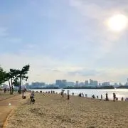 たまの画像