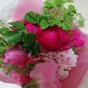 Hono