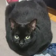 ♥️ななこ♥️の画像