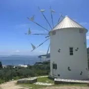 _io_oi_の画像