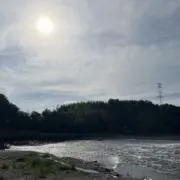 Ohmの画像