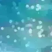 かず
