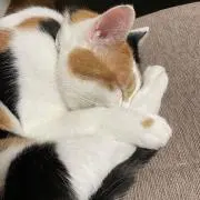 ❤️温泉さん❤️の画像