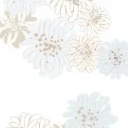 フルマラソンの画像