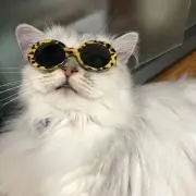 おれんじミント