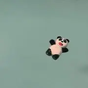 ぽんたの画像