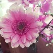 Stacie☆お値下げはおまとめ買いのみの画像
