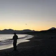 しょの画像