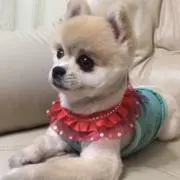 Nonの画像