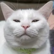 ユー《プロフご理解の上購入お願いします》の画像