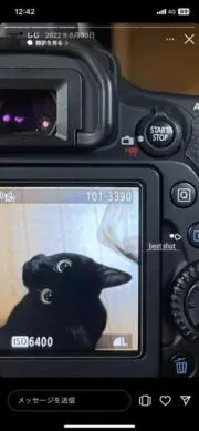 のず