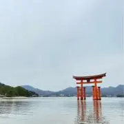 うみうみの画像