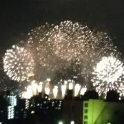 Hatokoの画像