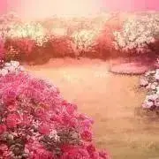 R♡Y *プロフ必読*の画像