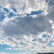 mikoの画像