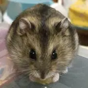 次何食べよ☆（断捨離します）の画像