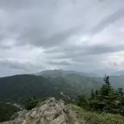 かまぼこの画像