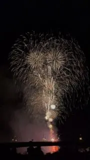 B参