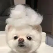 あいの画像
