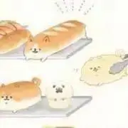 k.r.kの画像