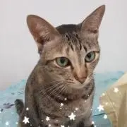 Maxの画像