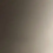 のりの画像