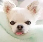 ヒロ