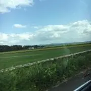 ceillの画像