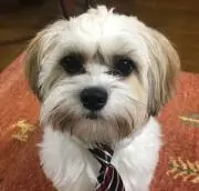 Kotaro
