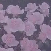 M.の画像