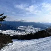 shuの画像