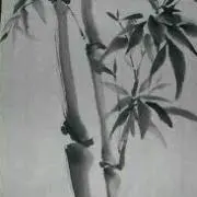 黒竹　プロフ必読お願いします。