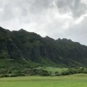 ぬぴの画像