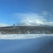 くみの画像