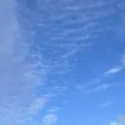 あきの画像