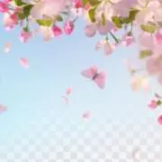 Sei✩の画像