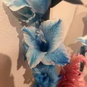 Ｒi&kiの画像